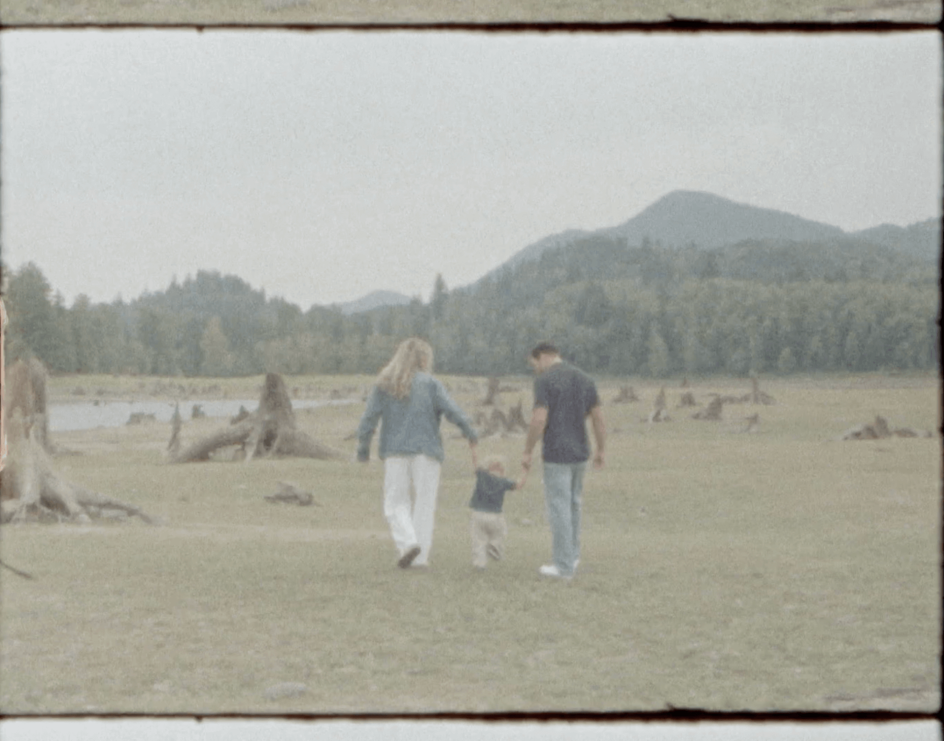 FAMILY FIELDS